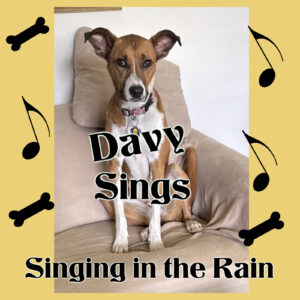 Davy Dog Sings - New Ad Video